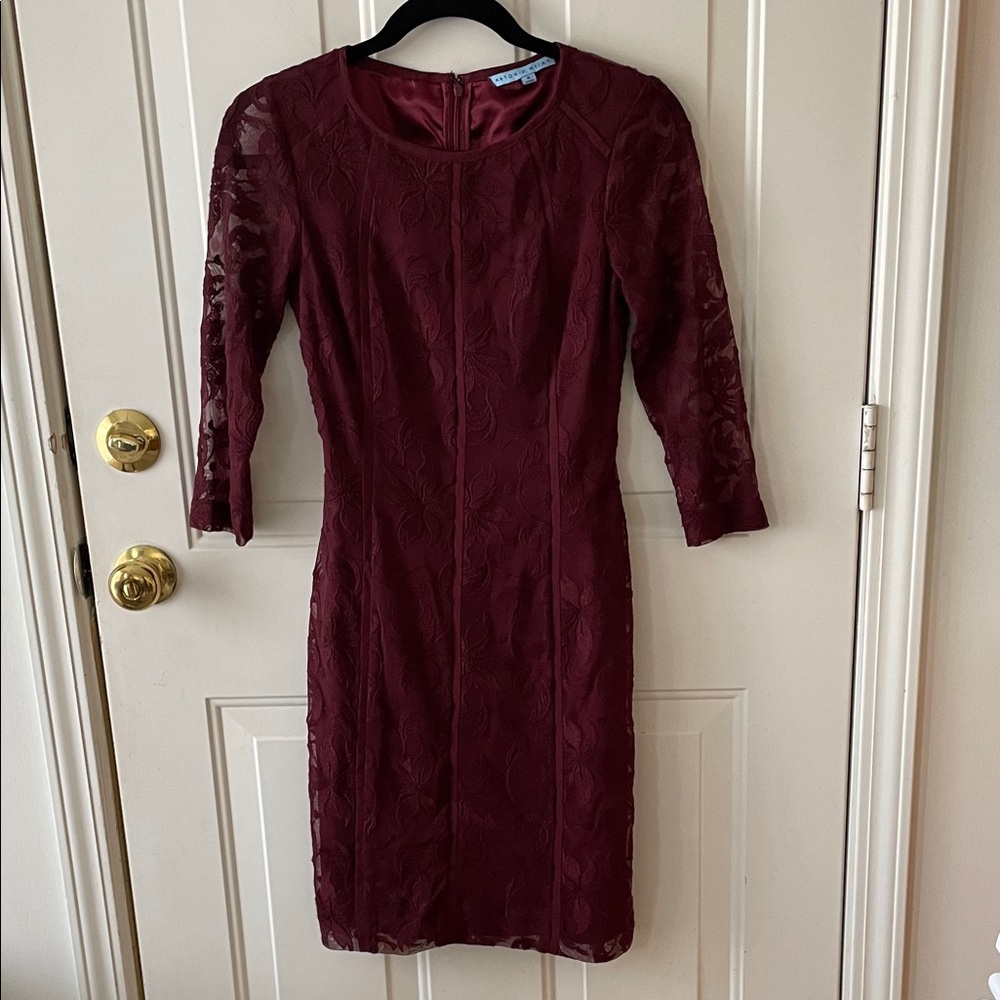 ANTONIO MELANI Deep Red Lace Long Sleeve Dress Size 0 Evening Wedding Guest